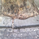 Le lame di ferro danneggiano gli alberi