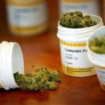 Cannabis in farmacia