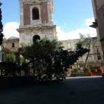 Albero cade a Santa Chiara